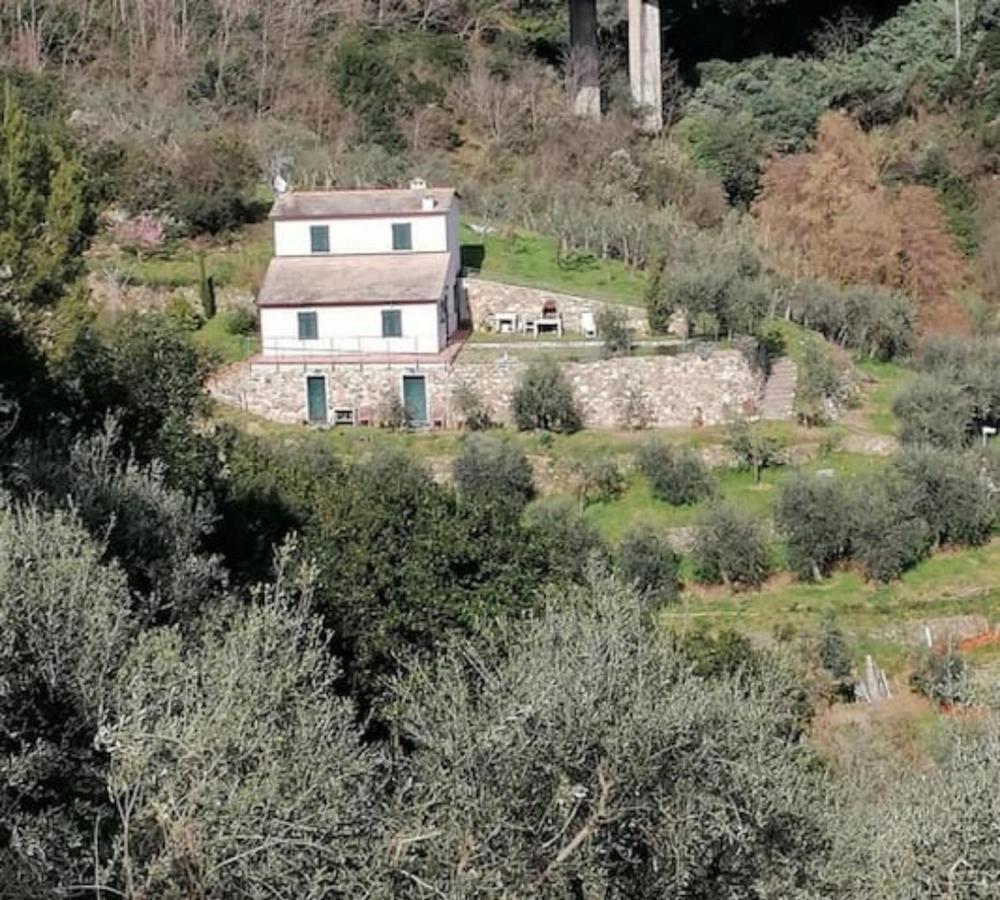 Villa Teca & Succo - Nature E Relax Sestri Levante Kültér fotó