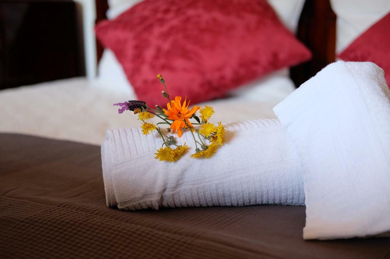 Villa Teca & Succo - Nature E Relax Sestri Levante Kültér fotó